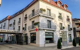 Hotel Satu Mare City